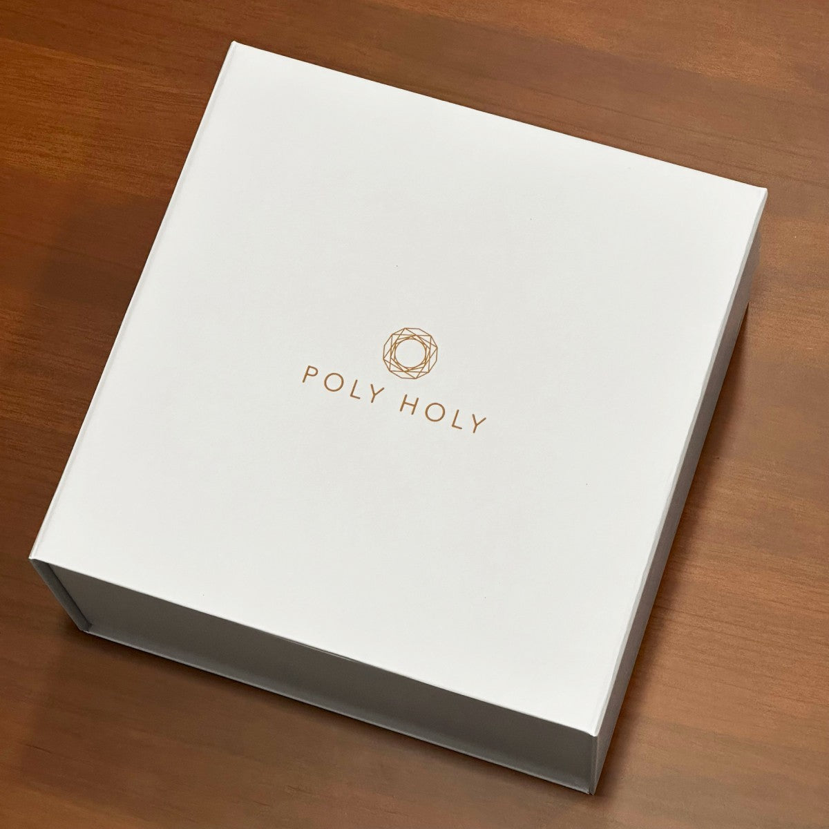 POLY HOLY GANESHA พระพิฆเนศ องค์ตั้งบูชา ขนาด 8 นิ้ว ผ่านพิธีเบิกเนตรปลุกเสกแล้วพร้อมบูชา